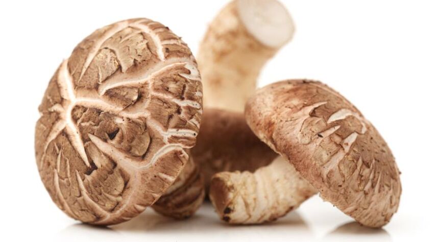 Shiitake-Pilze sind Bestandteil von Prostamin Forte